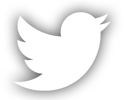 twiter logo